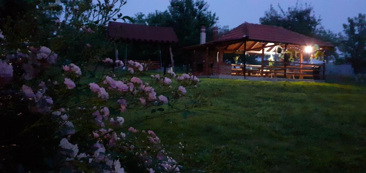 Pensiunea Agroturistica Ica Valea Drăganului Eksteriør bilde