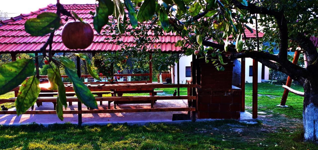 Pensiunea Agroturistica Ica Valea Drăganului Eksteriør bilde