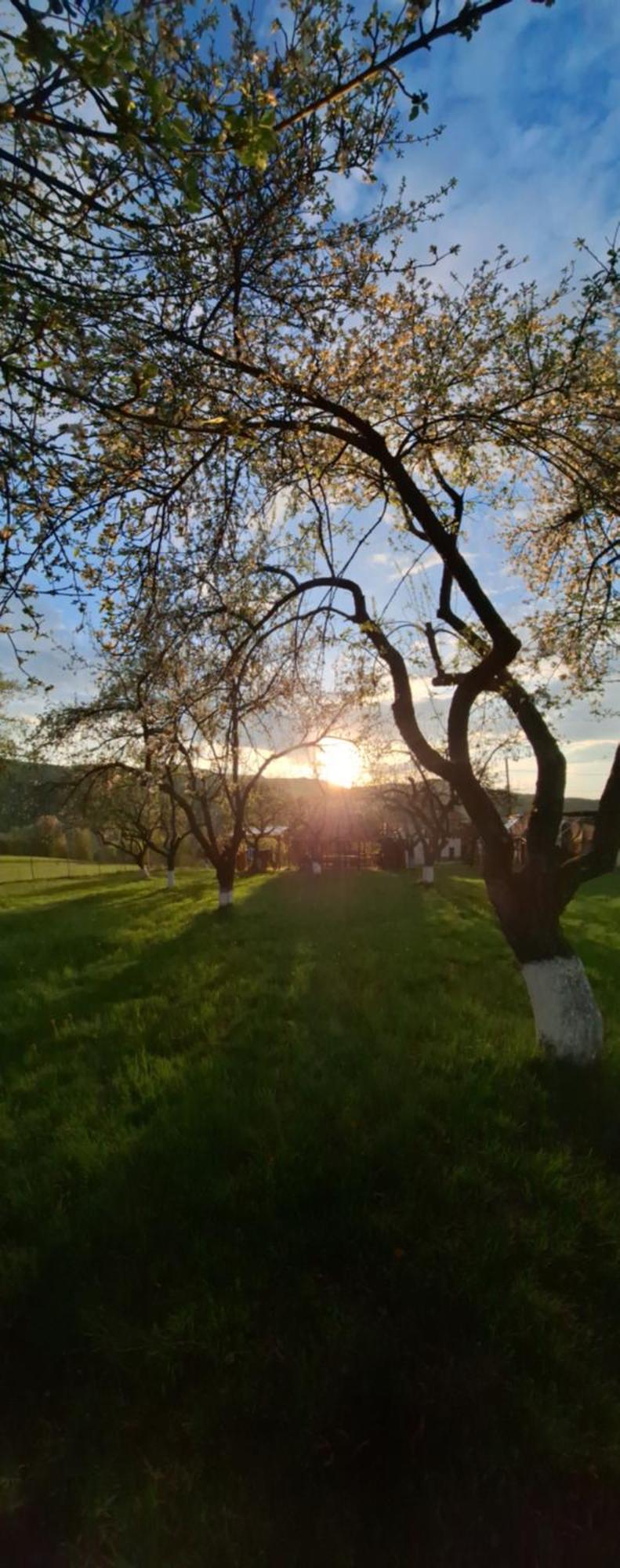 Pensiunea Agroturistica Ica Valea Drăganului Eksteriør bilde
